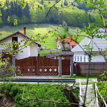 Gospodaria Lui Nea Ion Вама-Бузеулуй Екстер'єр фото