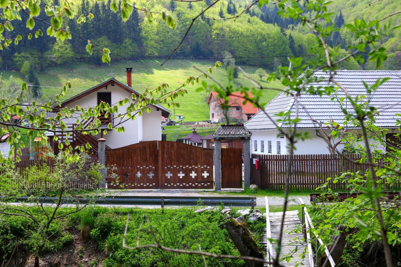 Gospodaria Lui Nea Ion Вама-Бузеулуй Екстер'єр фото