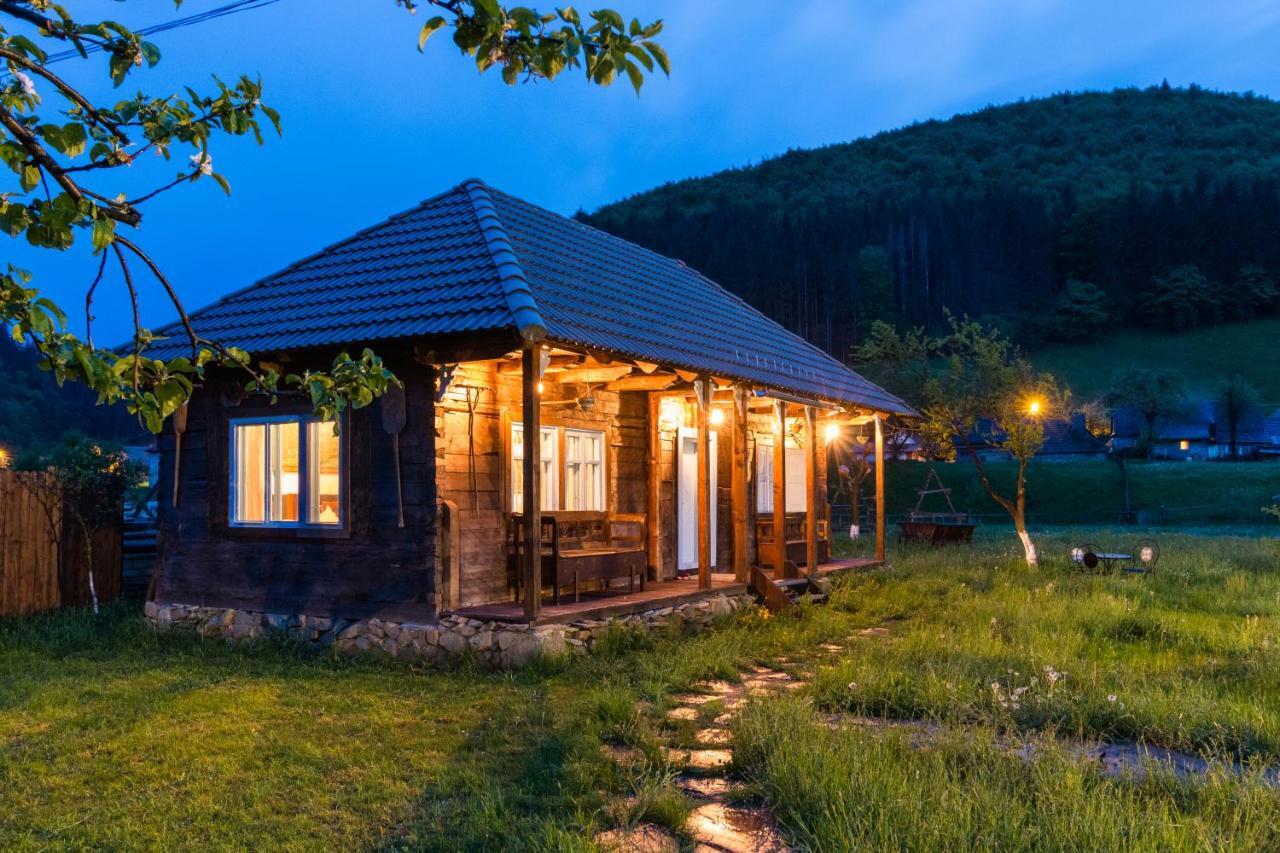 Gospodaria Lui Nea Ion Вама-Бузеулуй Екстер'єр фото