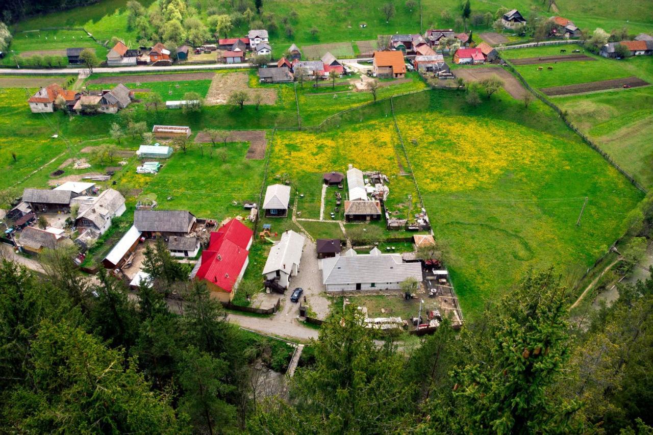 Gospodaria Lui Nea Ion Вама-Бузеулуй Екстер'єр фото
